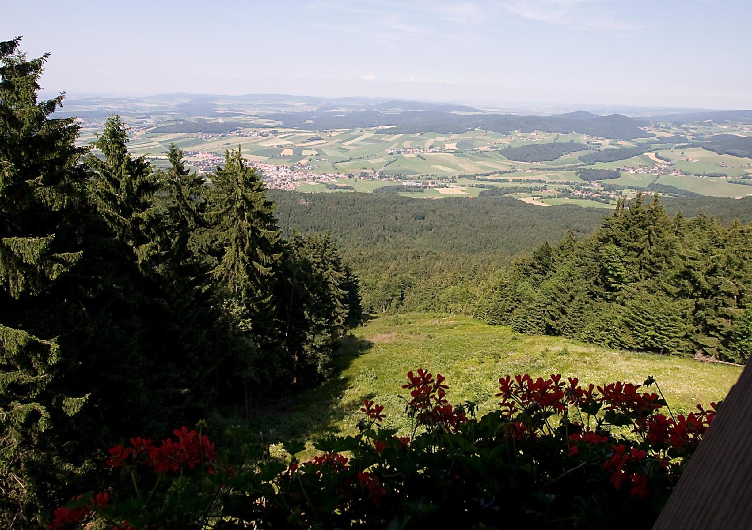 Schönblick Hohenbogen