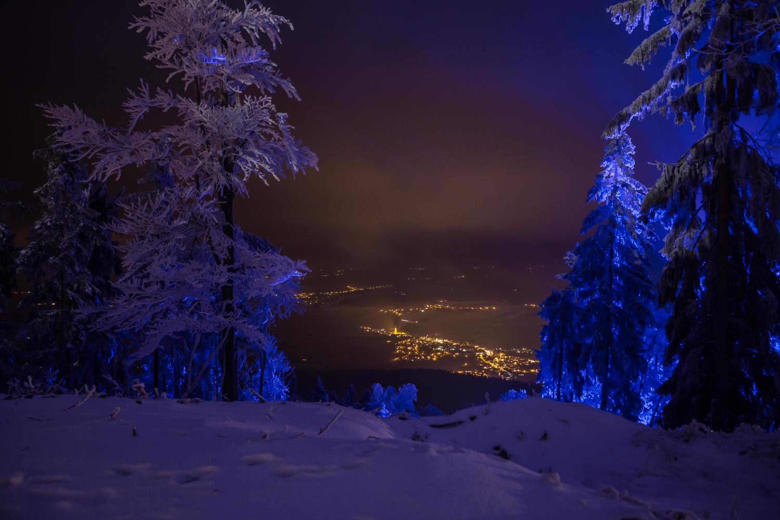 Schönblick Hohenbogen