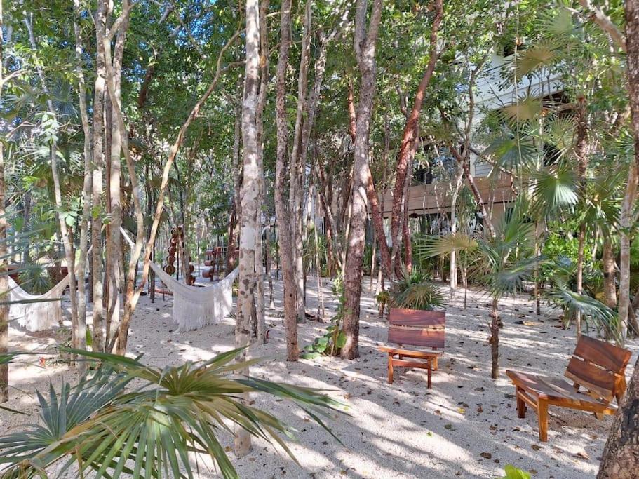 Fabuloso estudio playa cerca