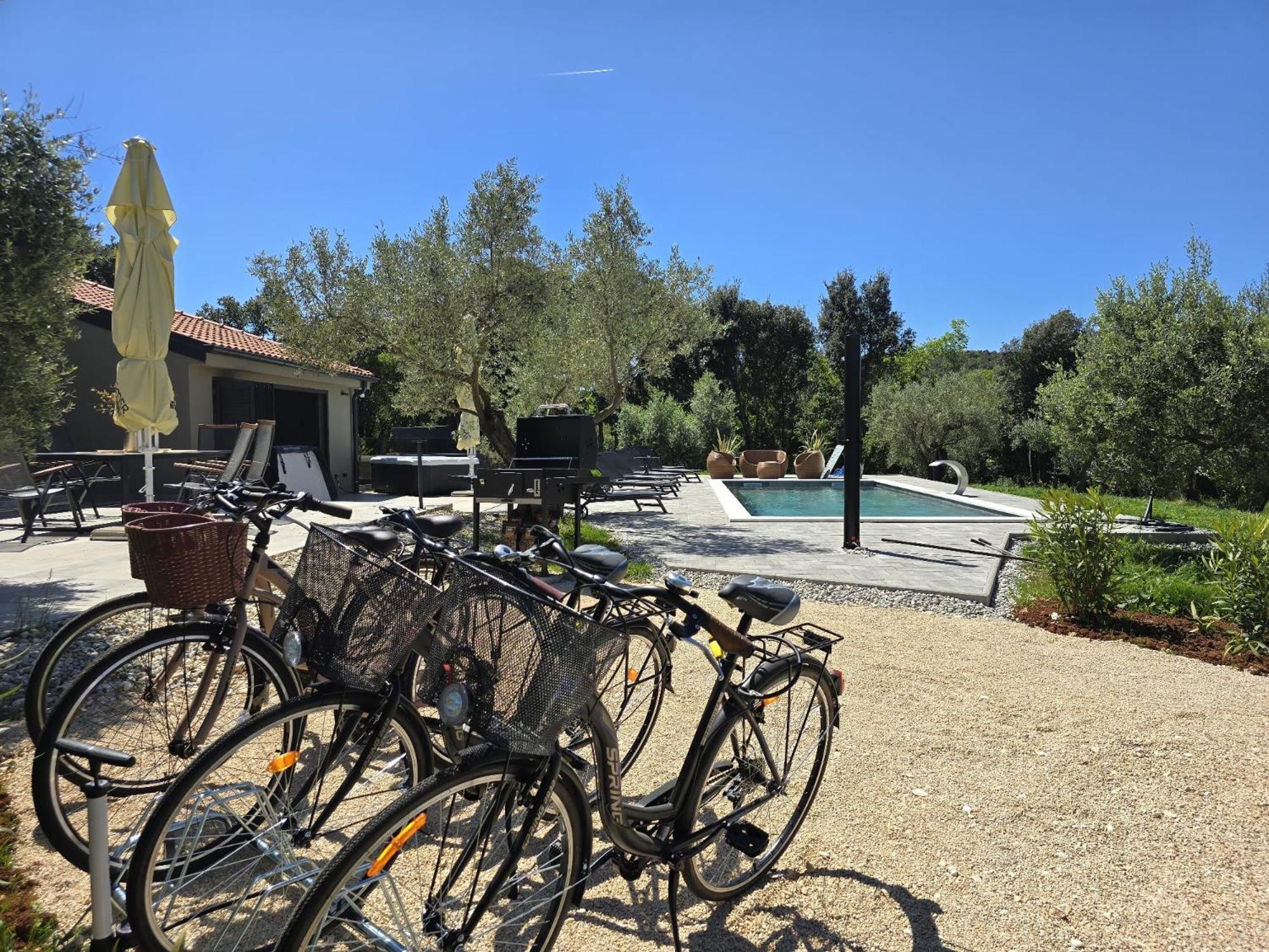 Olive Garden Paradise with heated Swimming Pool photo 5