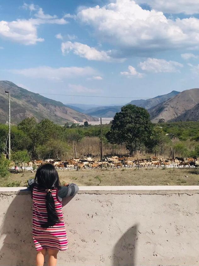 Balcón de Barcena
