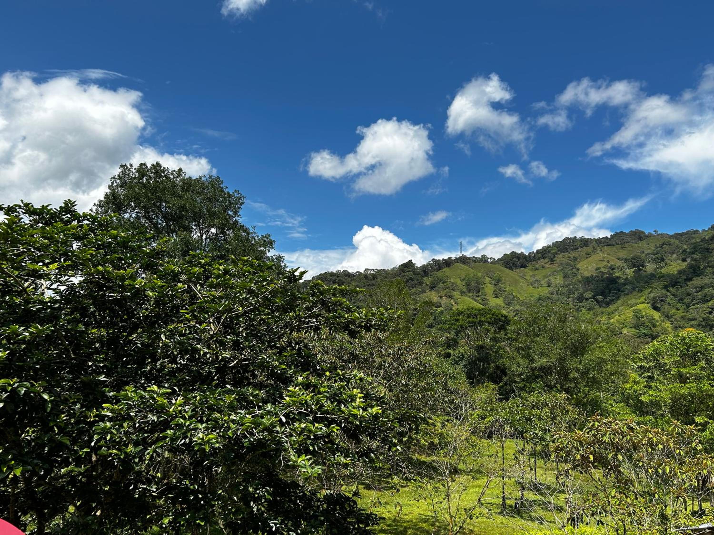 Habitaciones Finca en San Rafael Frente al charco la Cristalina con vista a las montañas