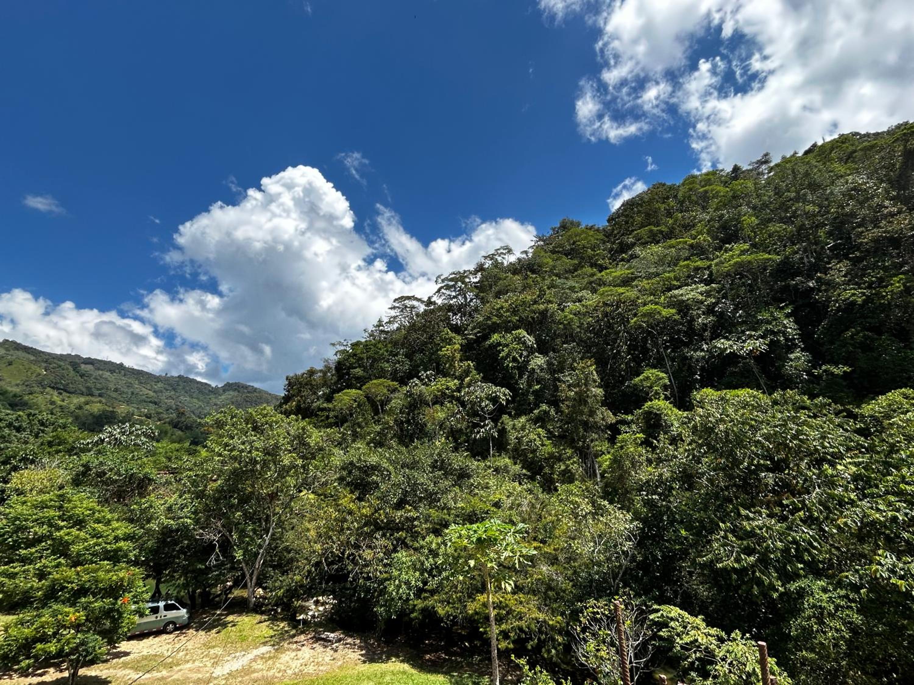 Habitaciones Finca en San Rafael Frente al charco la Cristalina con vista a las montañas