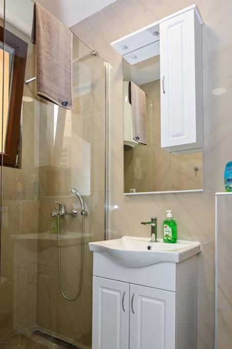 Vujovic Apartment 2