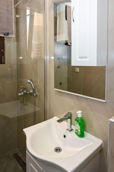 Vujovic Apartment 2