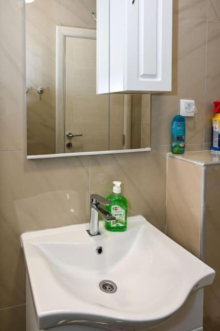 Vujovic Apartment 2