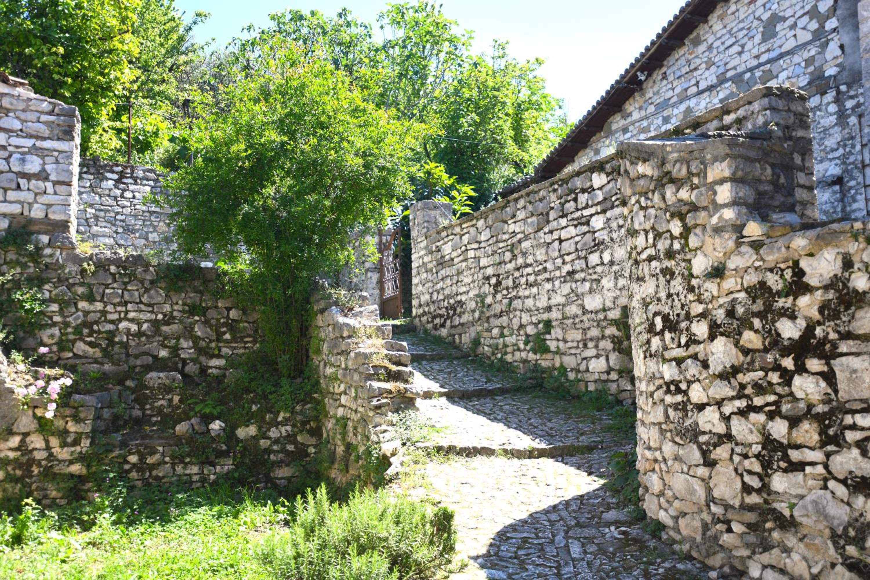 Villa Droboniku