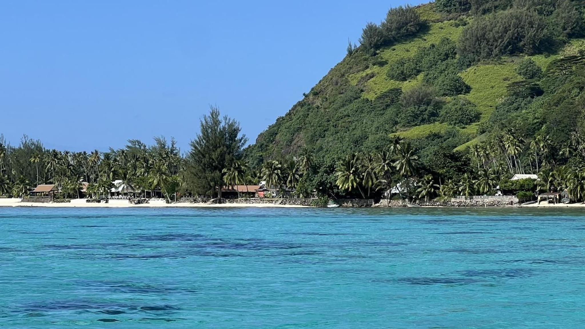 Photo 18