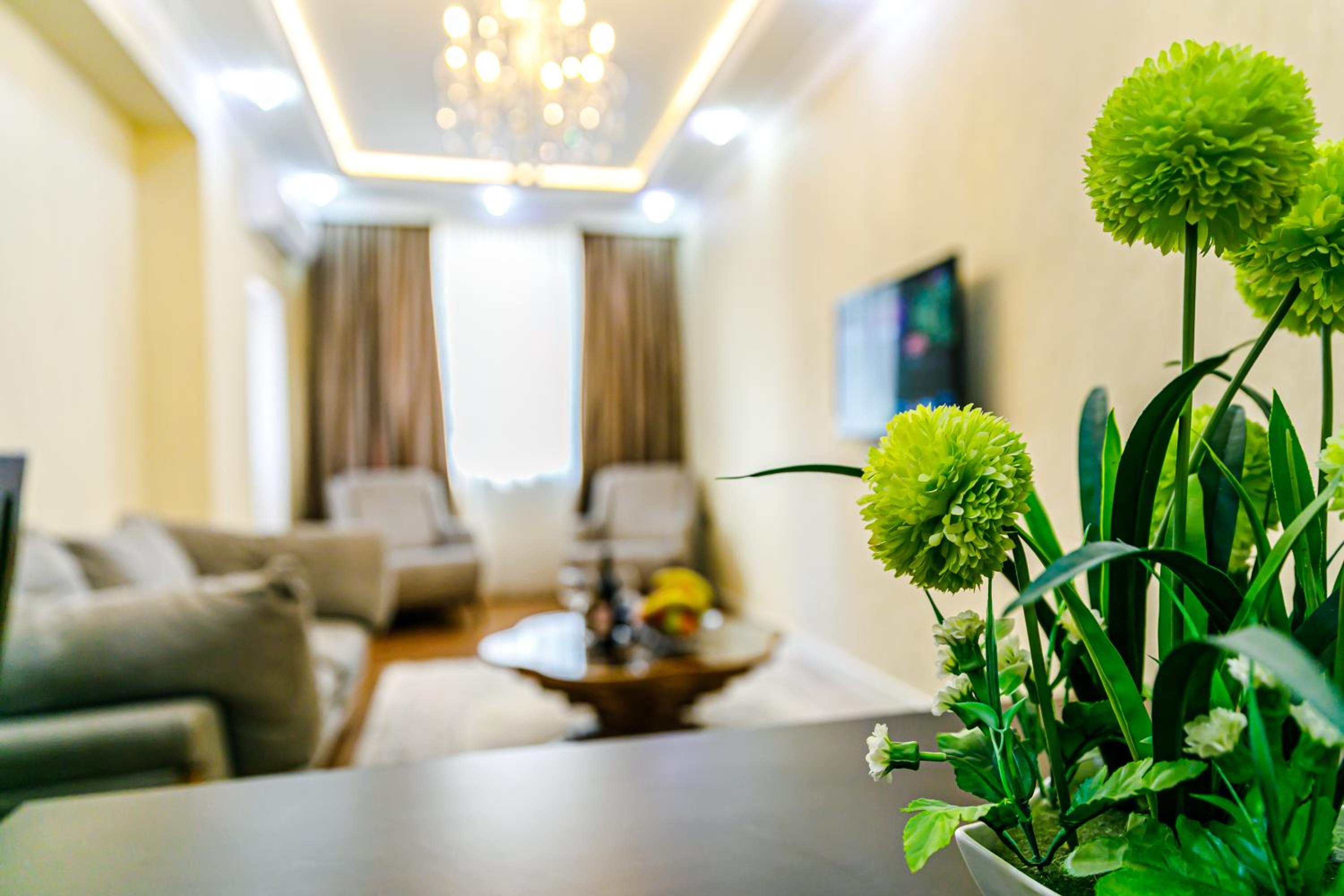 Sea view apartment by Baku housing