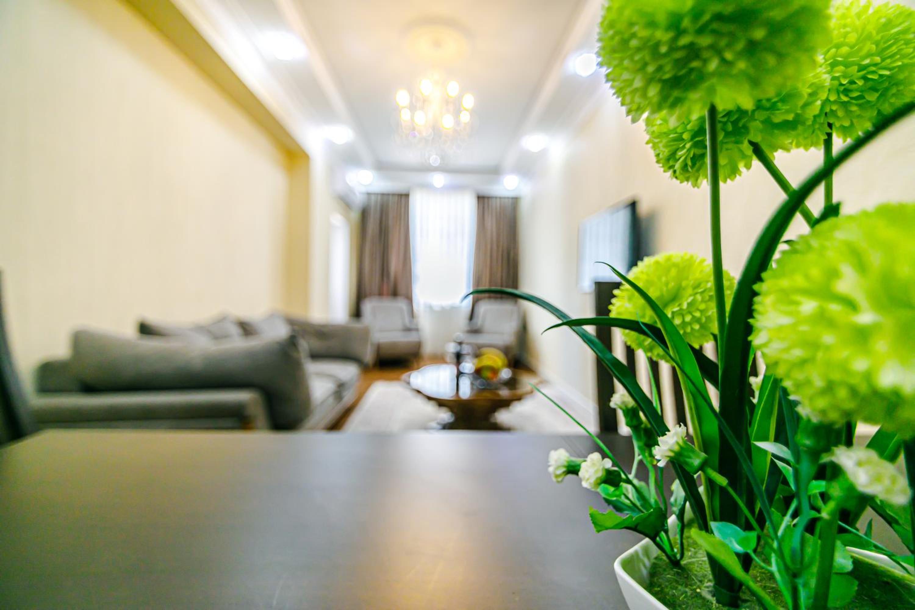 Sea view apartment by Baku housing