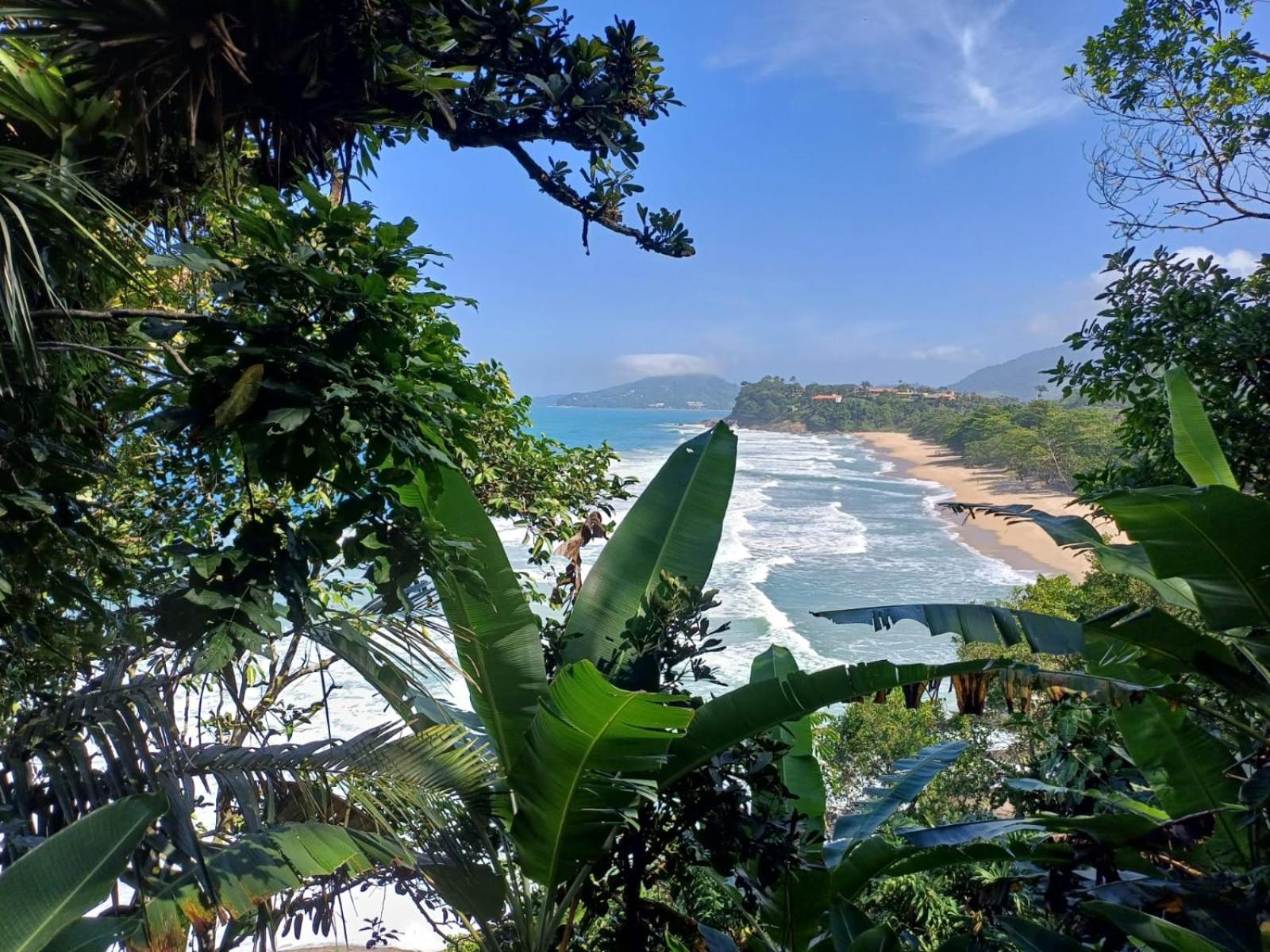 Ubatuba Wild Surf House