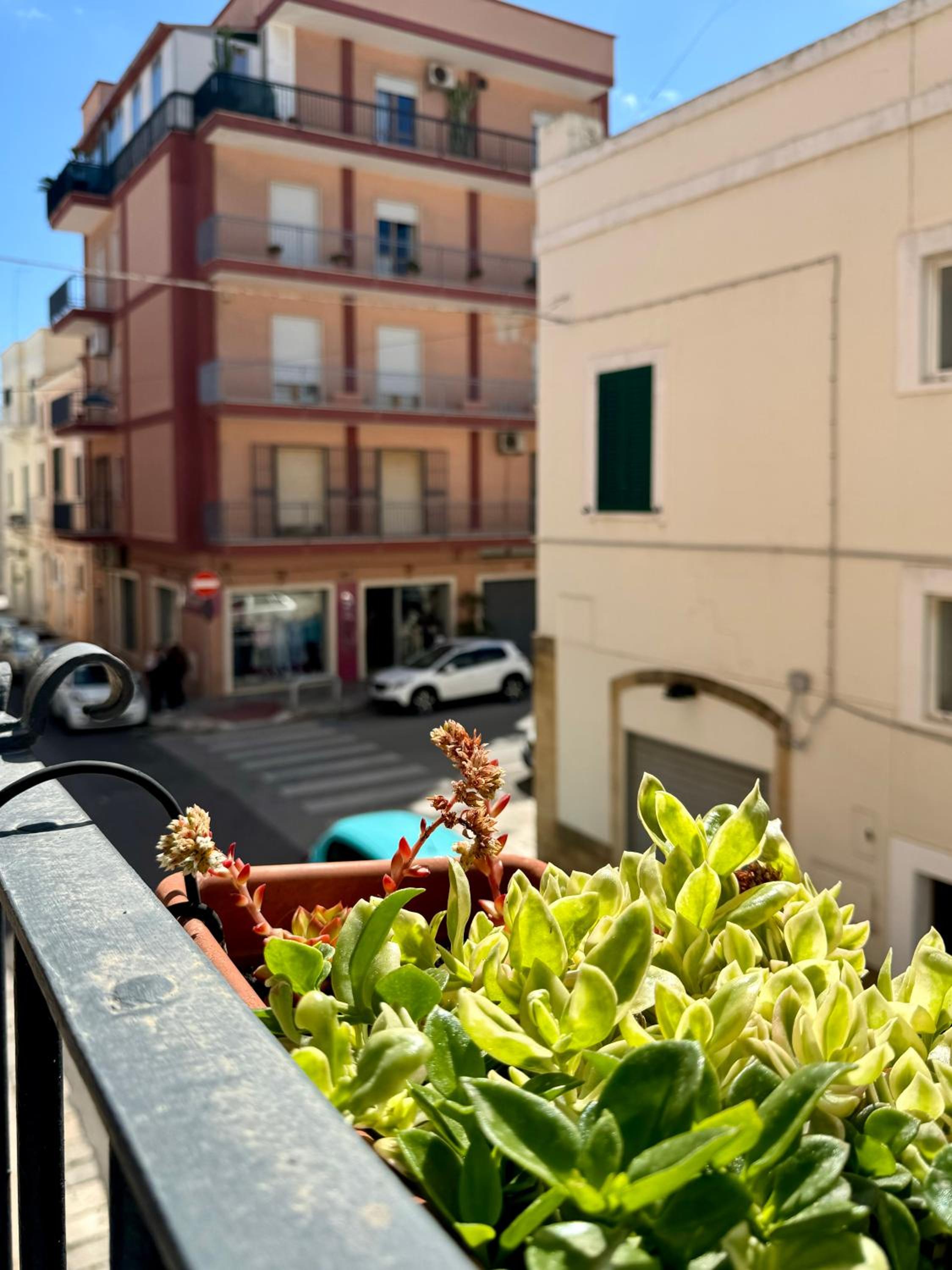 Casa Palestro view 3