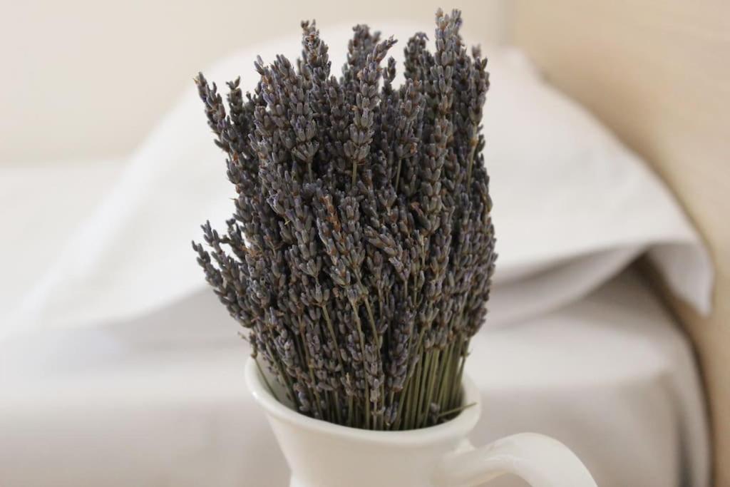 Lavandula Ring