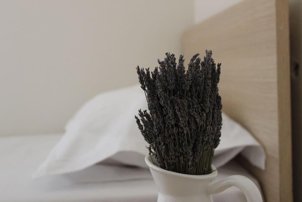 Lavandula Ring