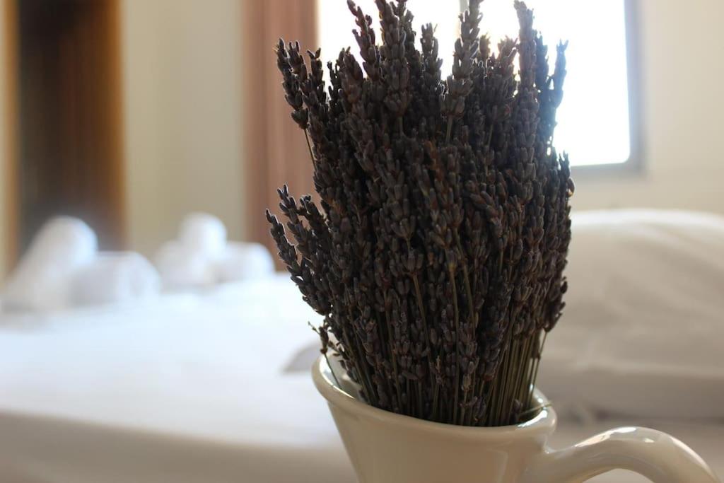 Lavandula Ring
