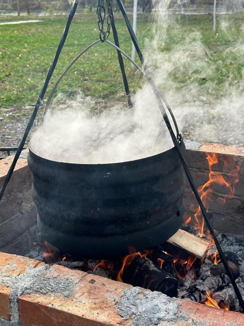 Brvnara Bata - Vikendica na Drini