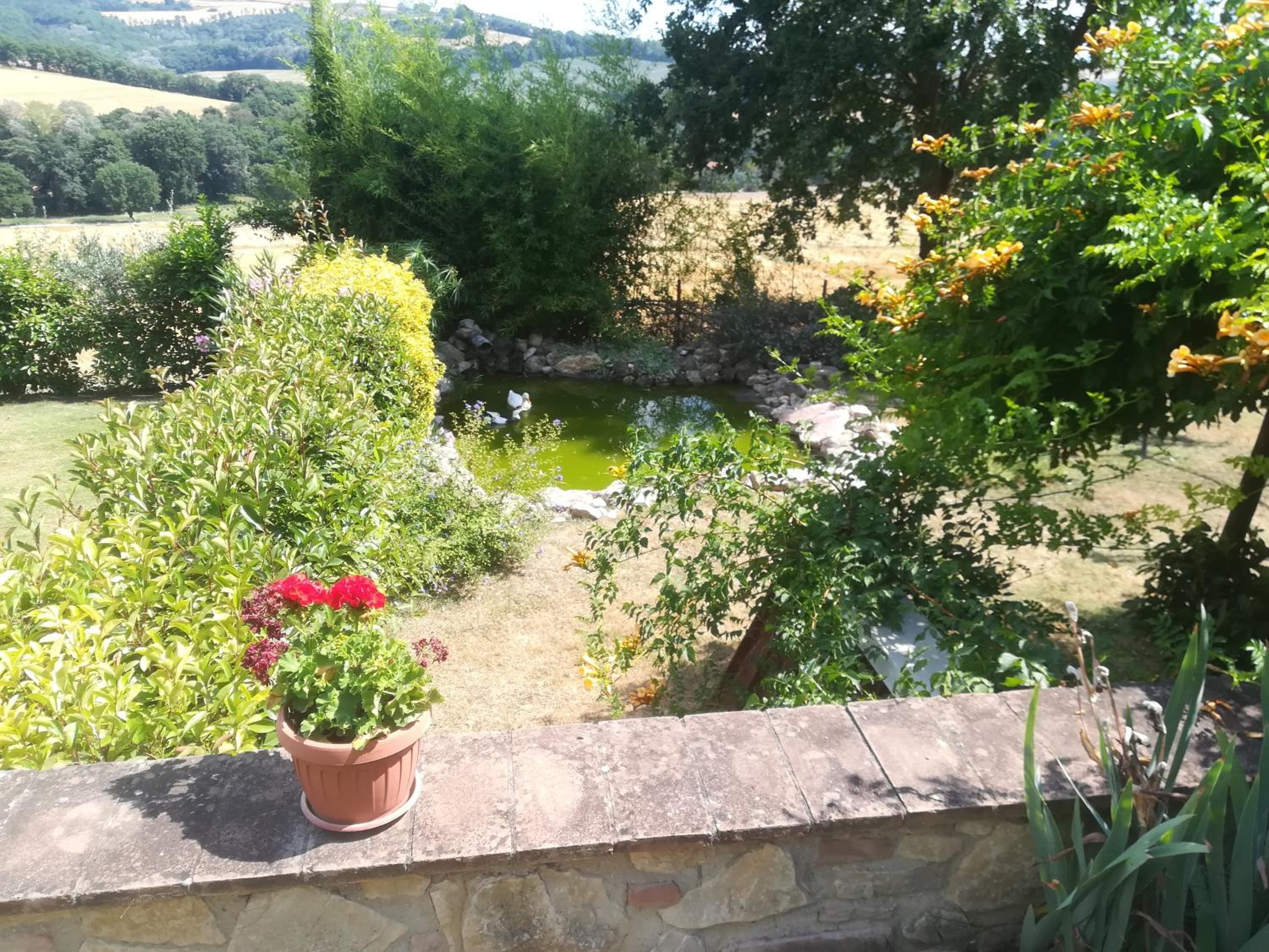Photo 47
