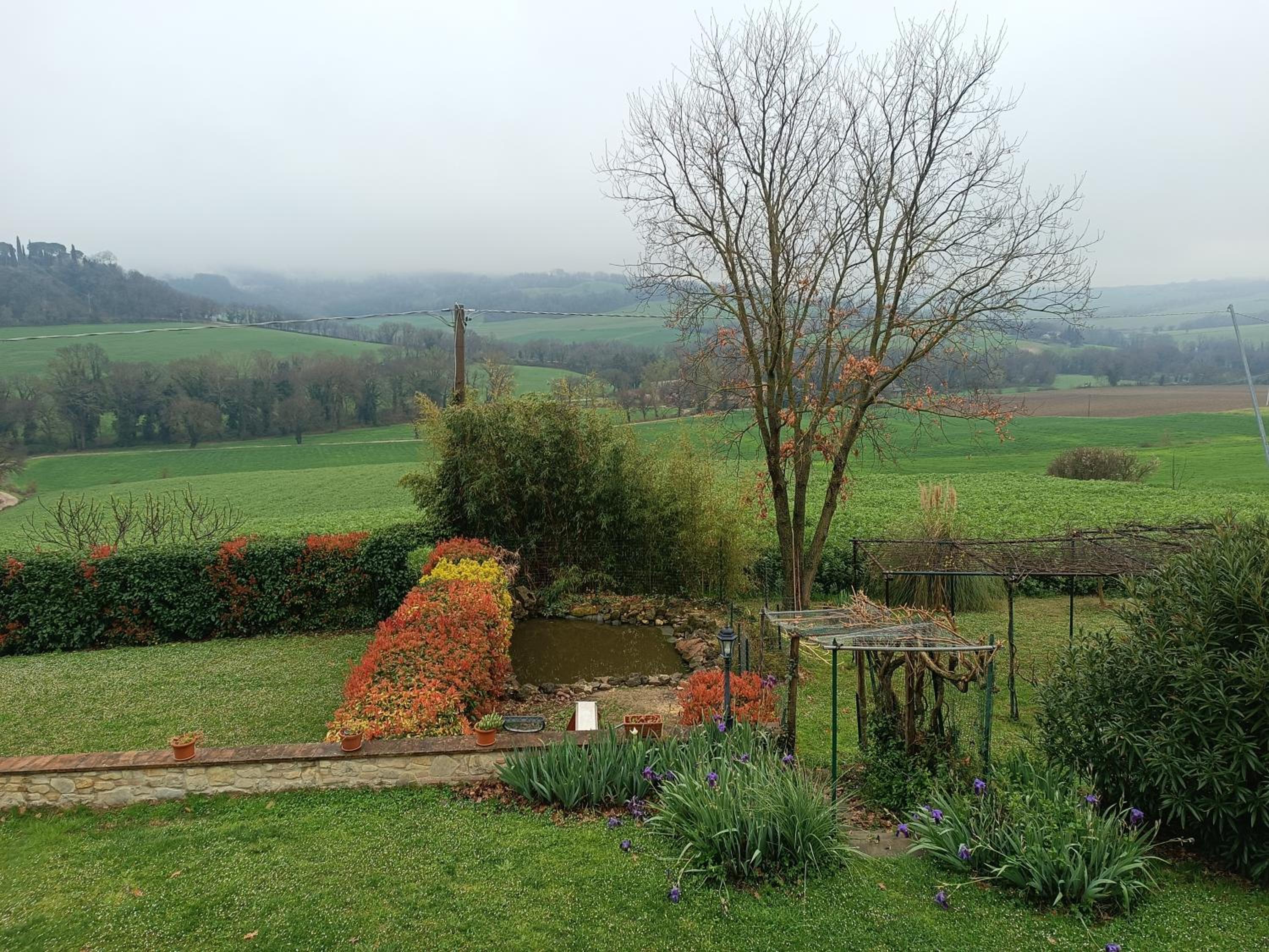 Photo 45