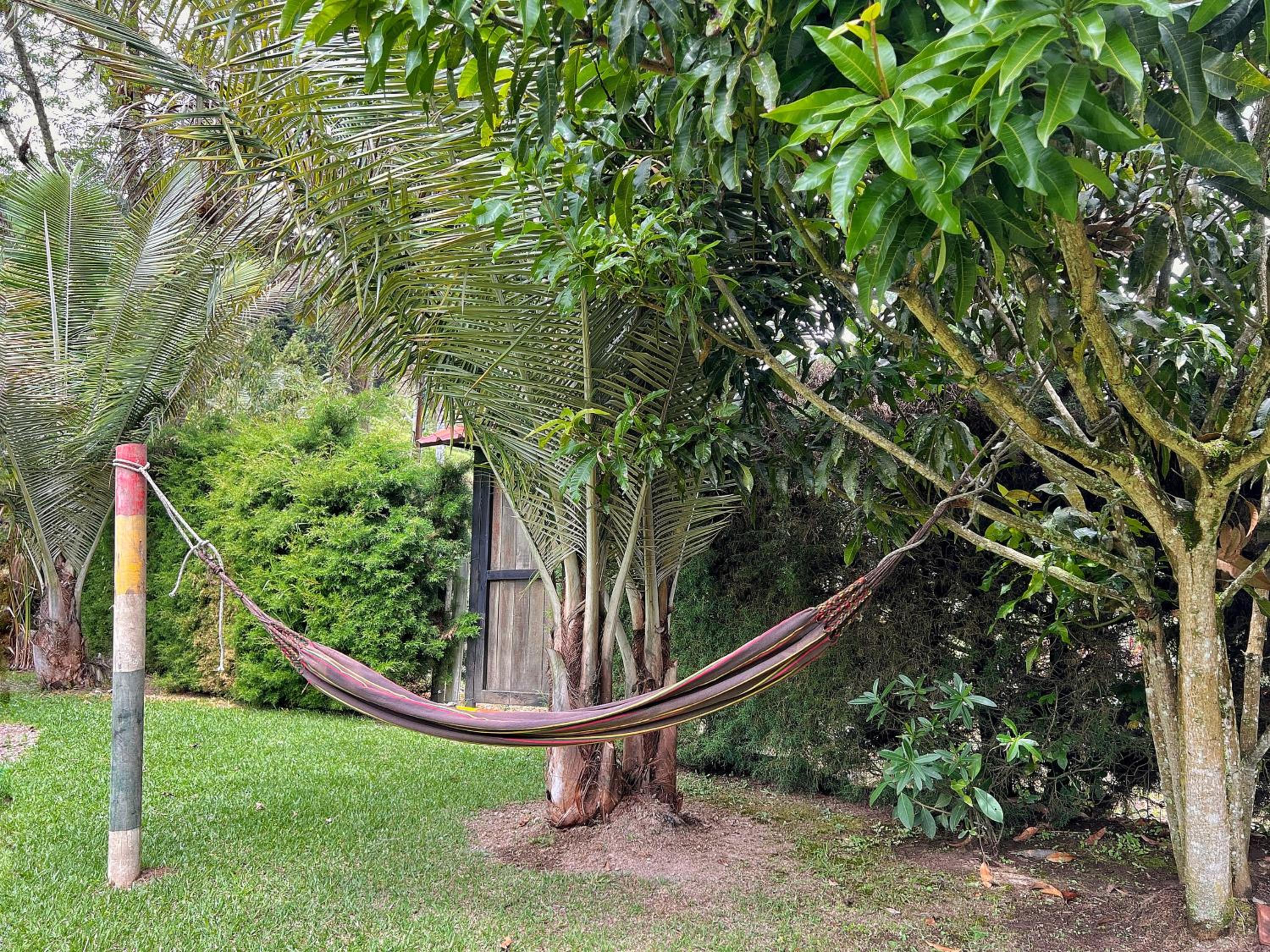 Paraiso Cocora