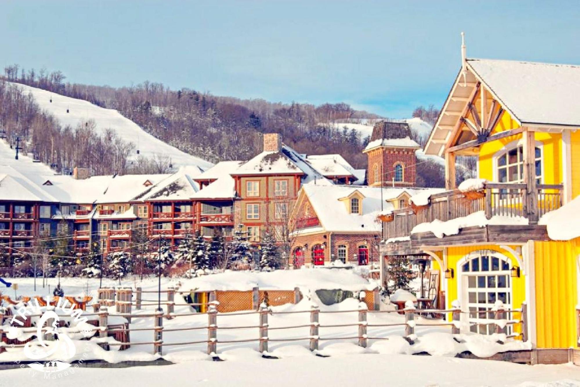 Hillside One Bedroom Condo in Blue Mountain, Full Kitchen, 2 Creekside Decks