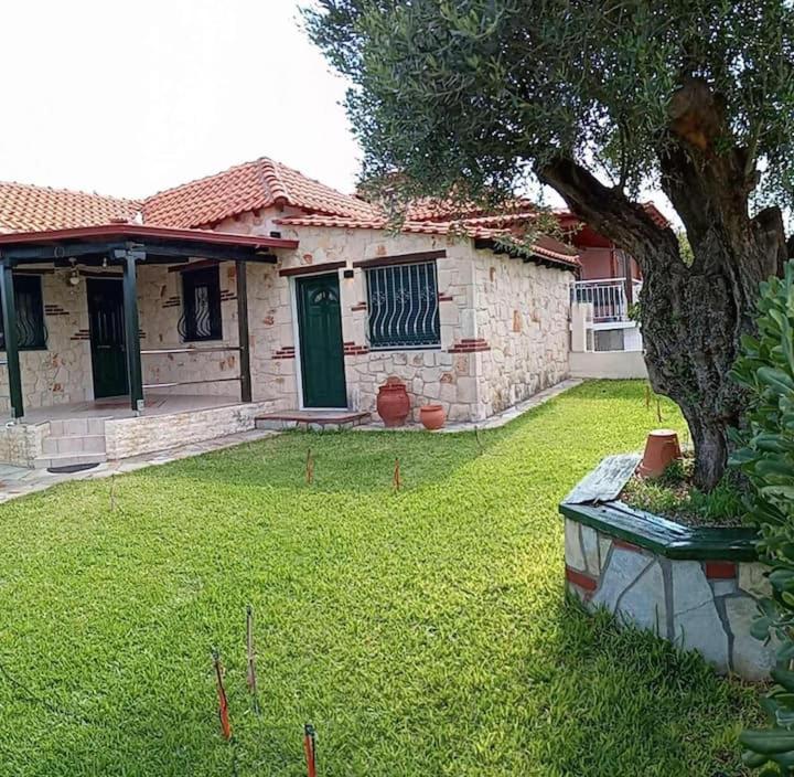 Olive tree villa view 3