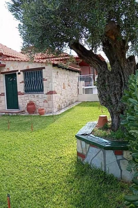 Olive tree villa view 2