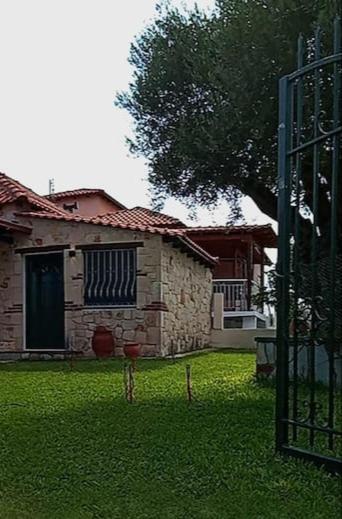 Olive tree villa view 4