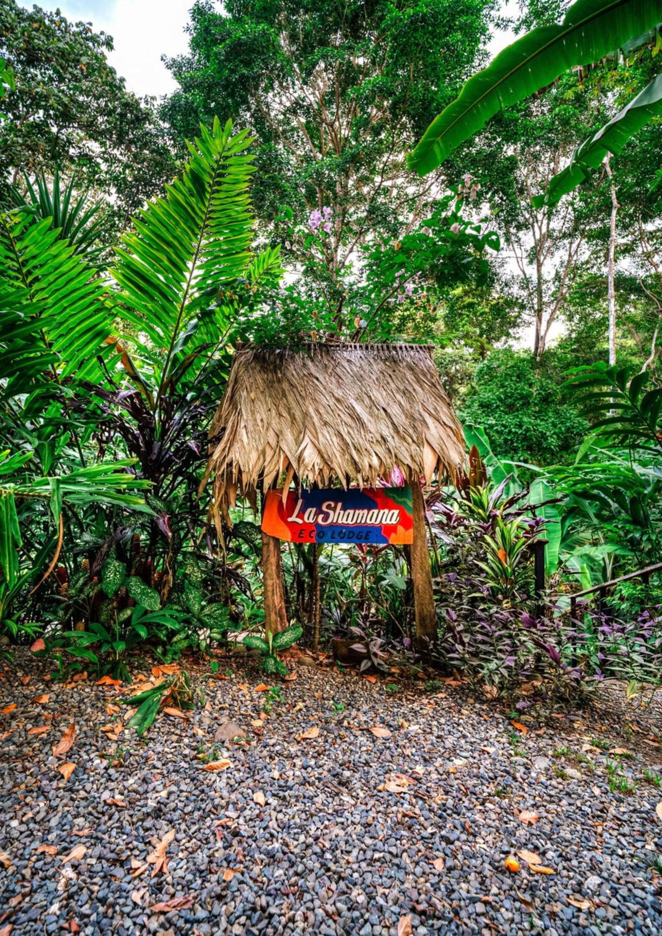 La Shamana - Ecological Concept in Jungle