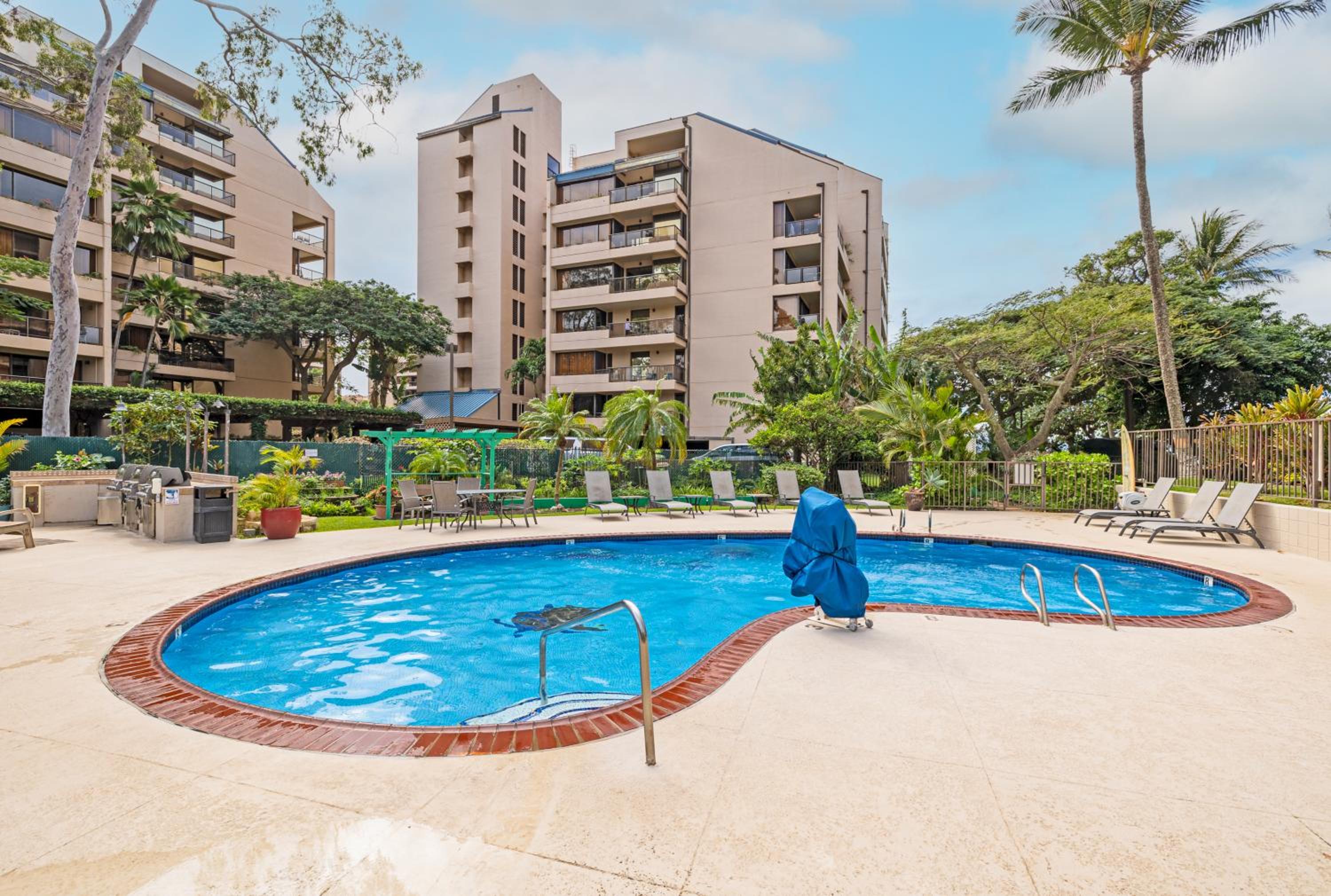 Best AC Beachfront Condo with Sandy beach, snorkel, Whale Watching view 3
