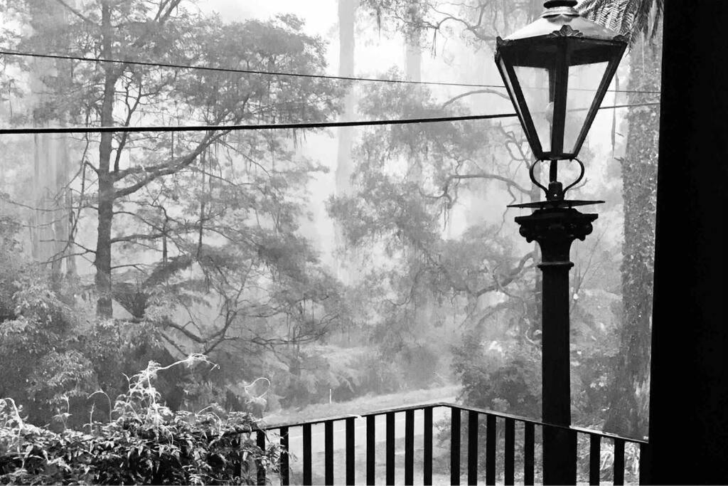 Whitelodge Retreat Sassafras, Mount Dandenong