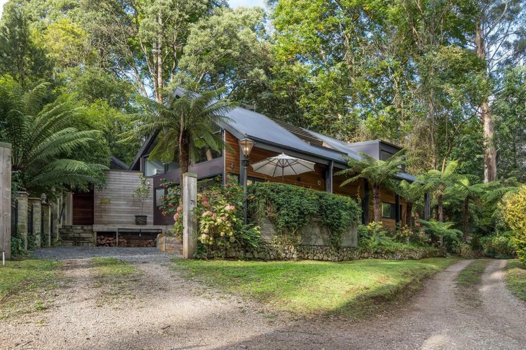 Whitelodge Retreat Sassafras, Mount Dandenong