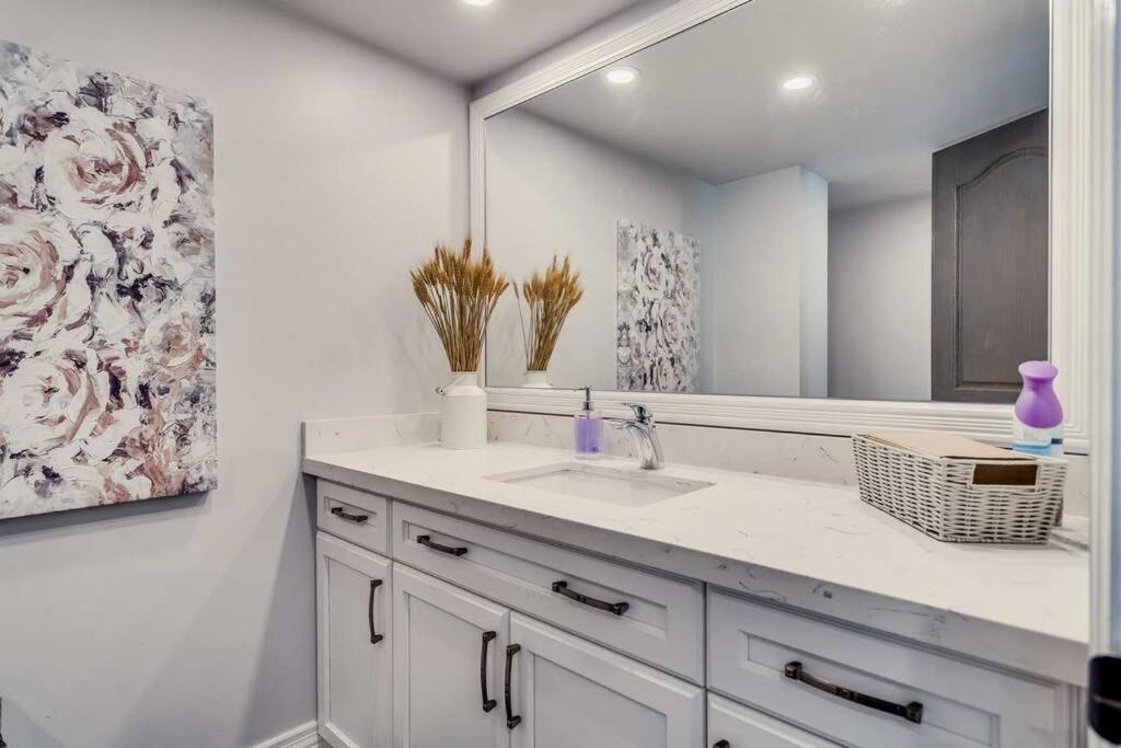 Large Estate with Luxury Collection of Amenities