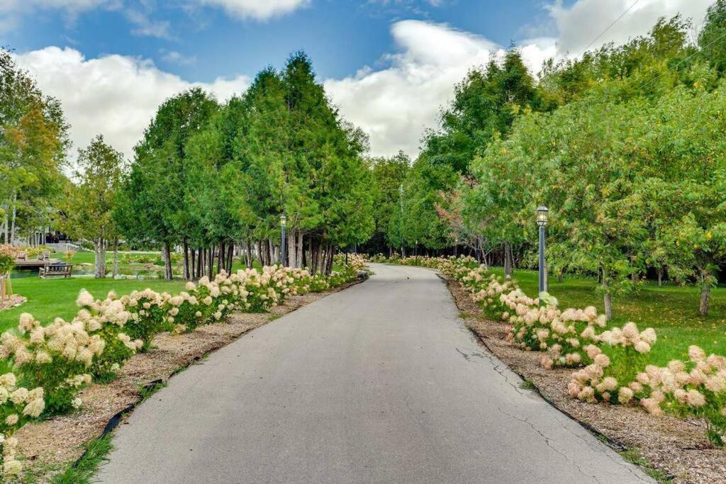 Large Estate with Luxury Collection of Amenities