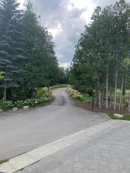 Large Estate with Luxury Collection of Amenities