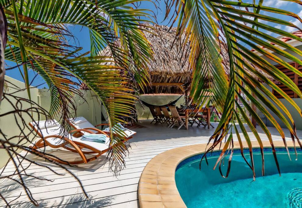 Hofi Paradise