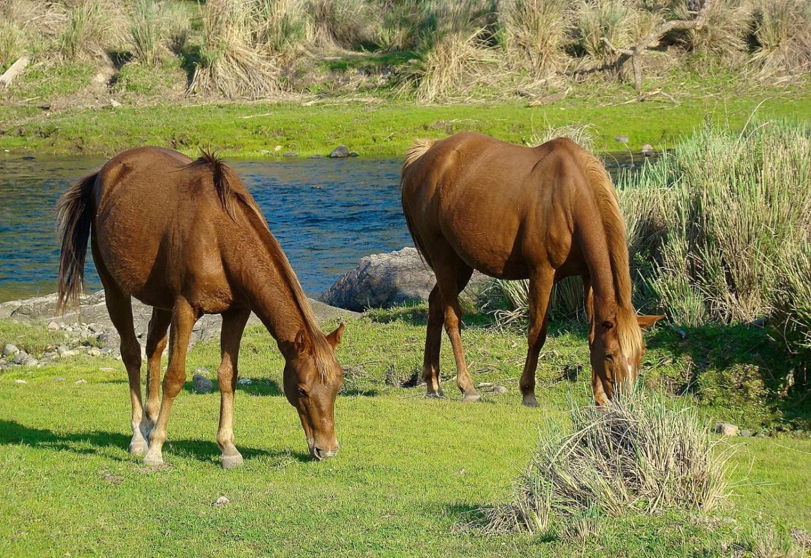 Amaneceres de San Isidro