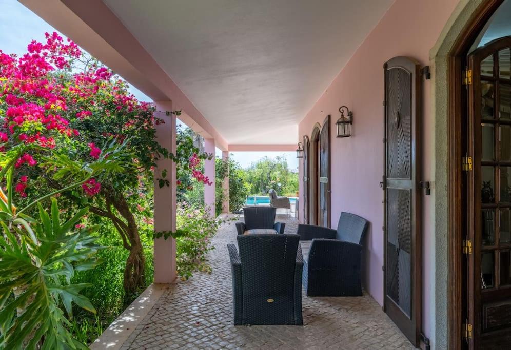 Casa do Casal - Altura view 5