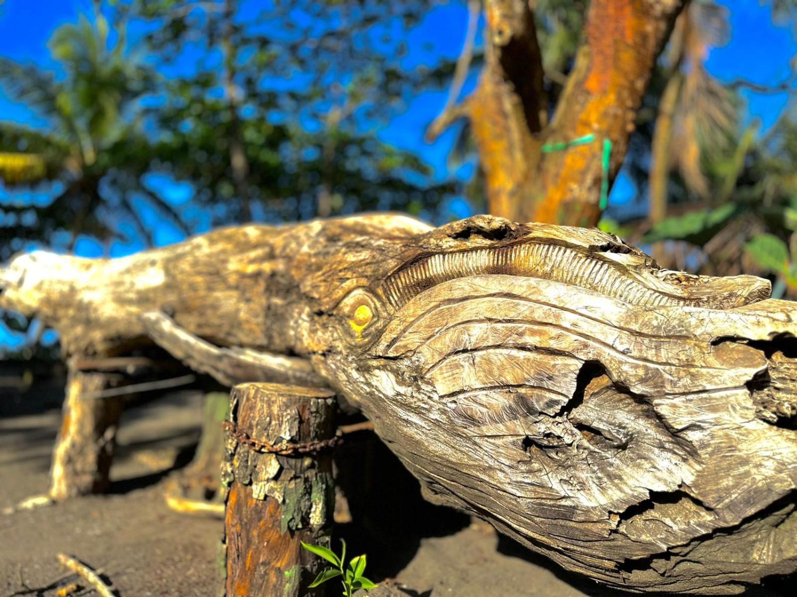 Costa Rica Caribbean Coast Vacations - El Deseo Serendipity Tortuguero - Property Image 2
