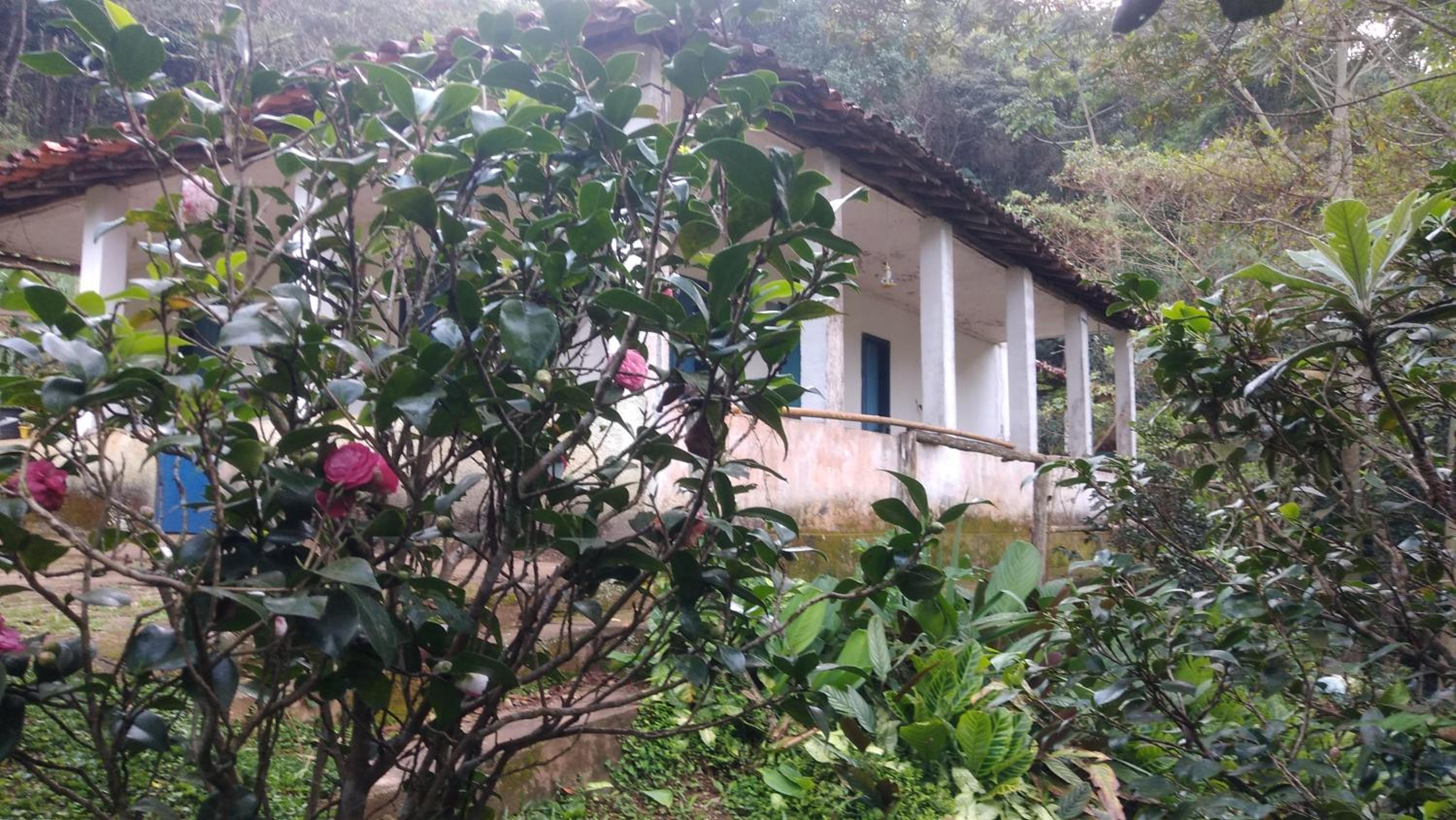Chalé na floresta com varanda
