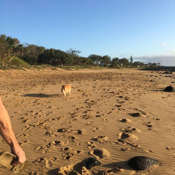 Puppies&Pancakes at Innes Park Opp Park&Beach Dogs welcome inside