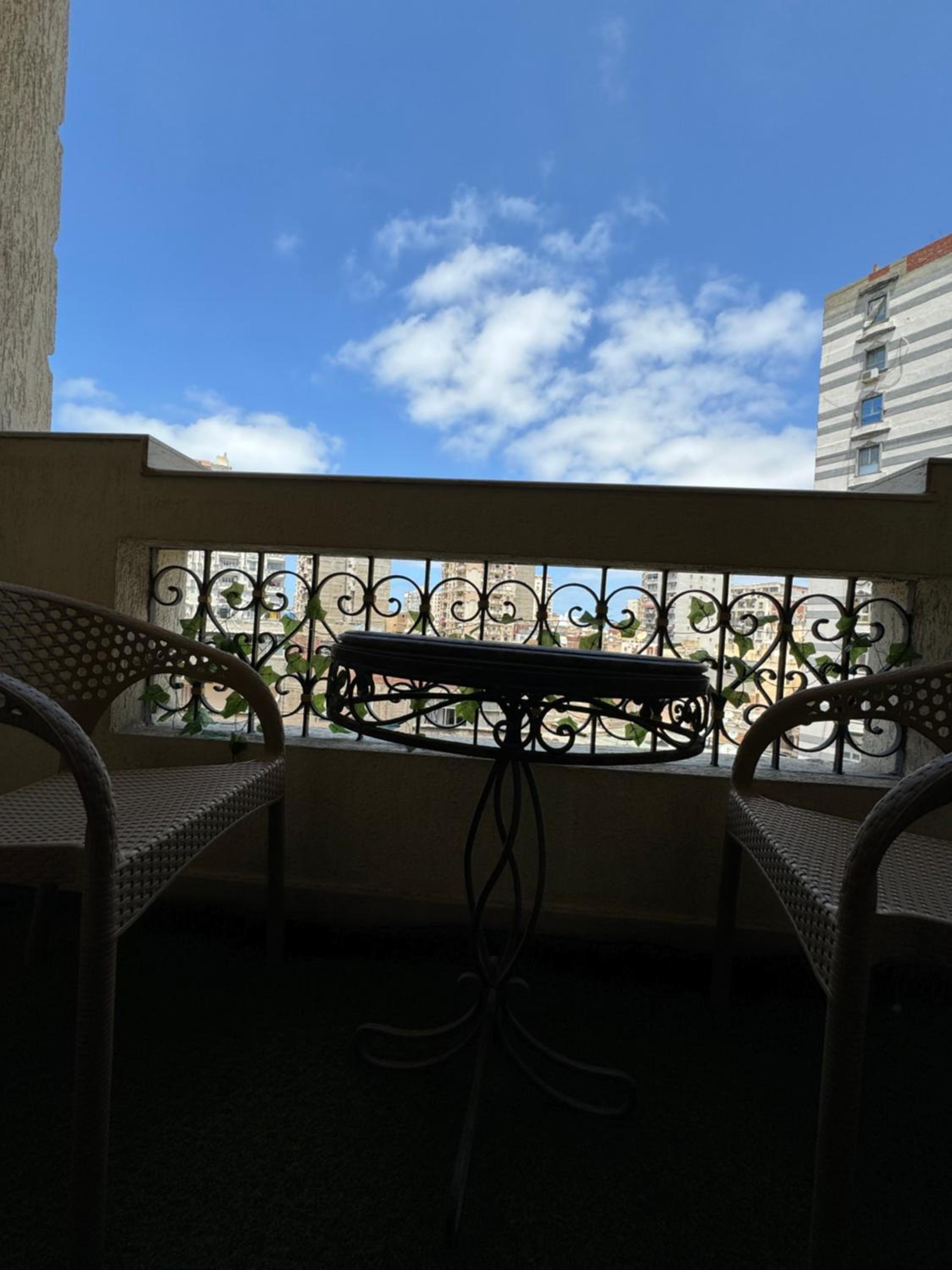 Alexandria Downtown Apartment