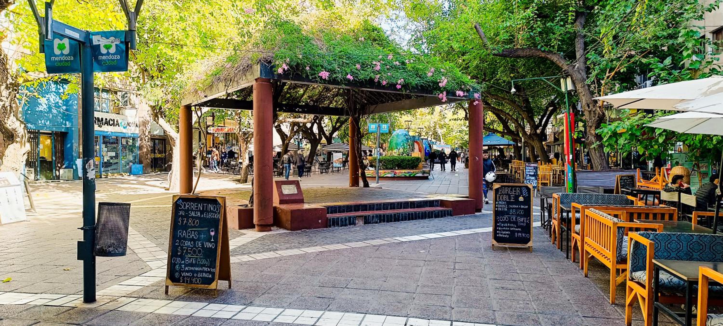 Departamento en peatonal, centro de Mendoza!!