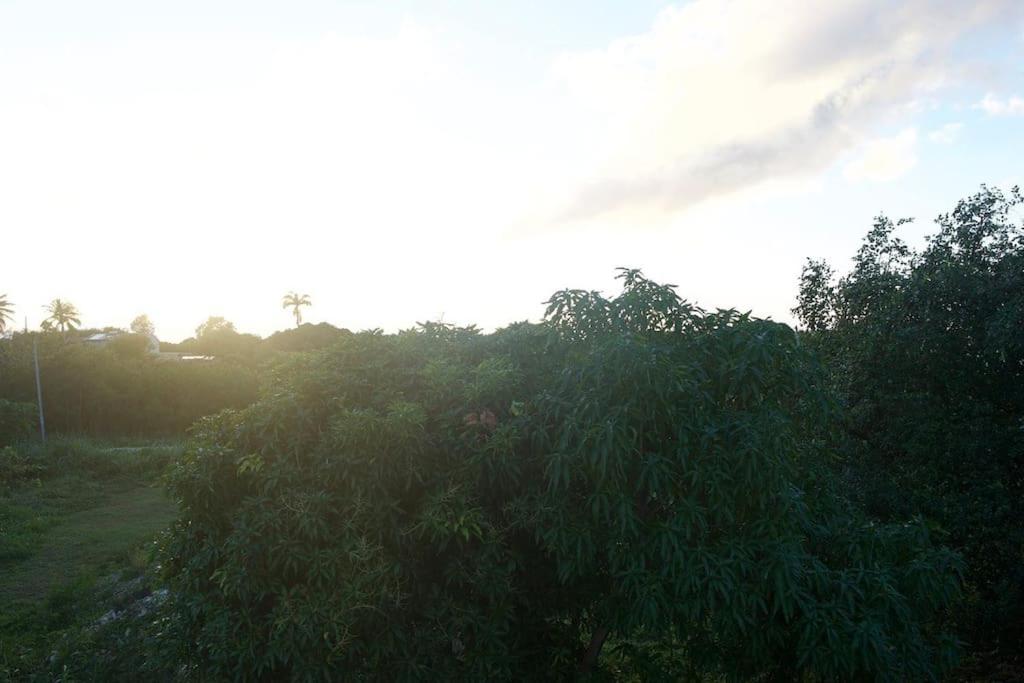 Villa Caraibe