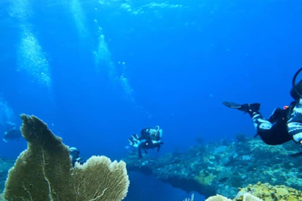 Villa Caraibe