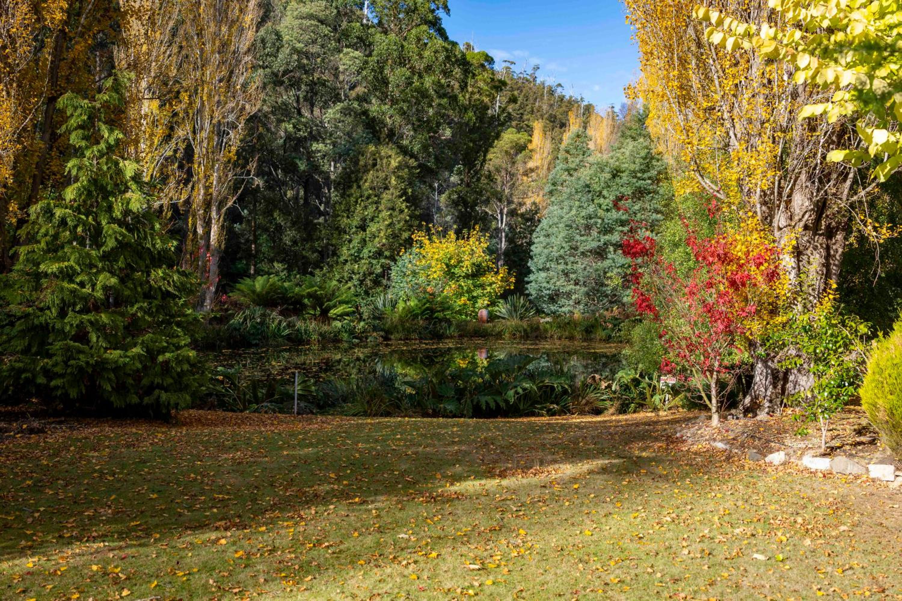 Magical Lucindale - Gorgeous 4 Bedroom House
