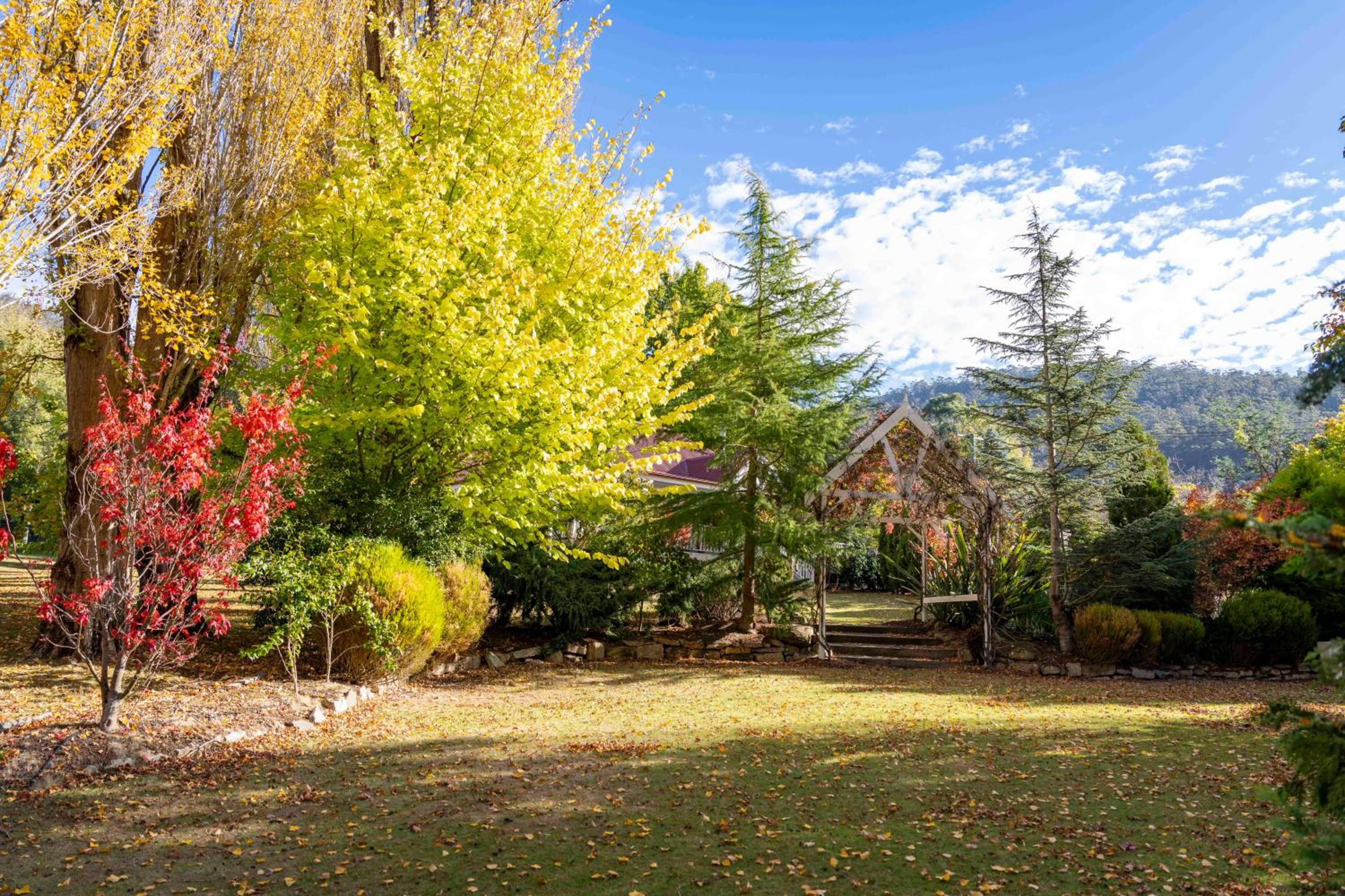 Magical Lucindale - Gorgeous 4 Bedroom House