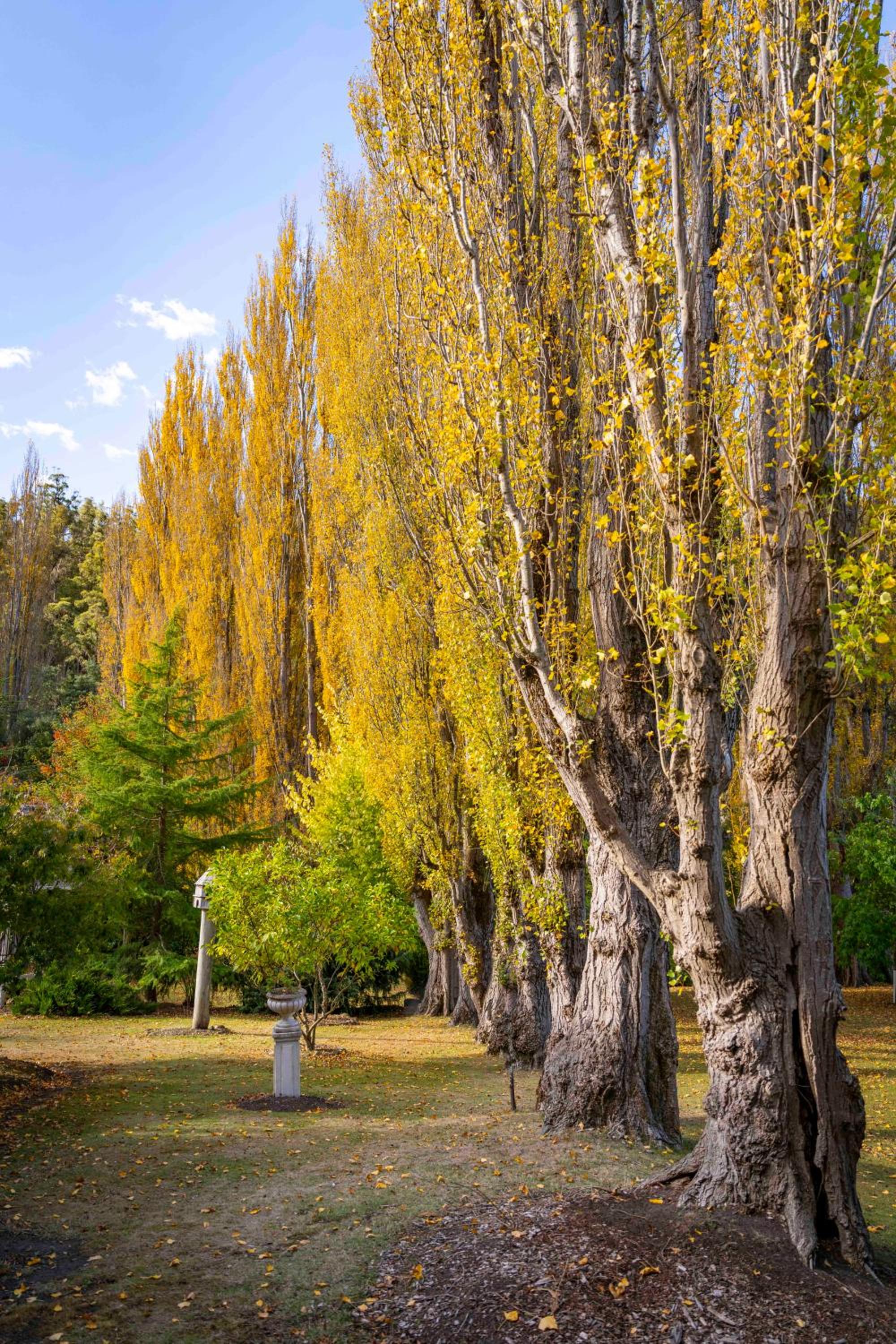 Magical Lucindale - Gorgeous 4 Bedroom House