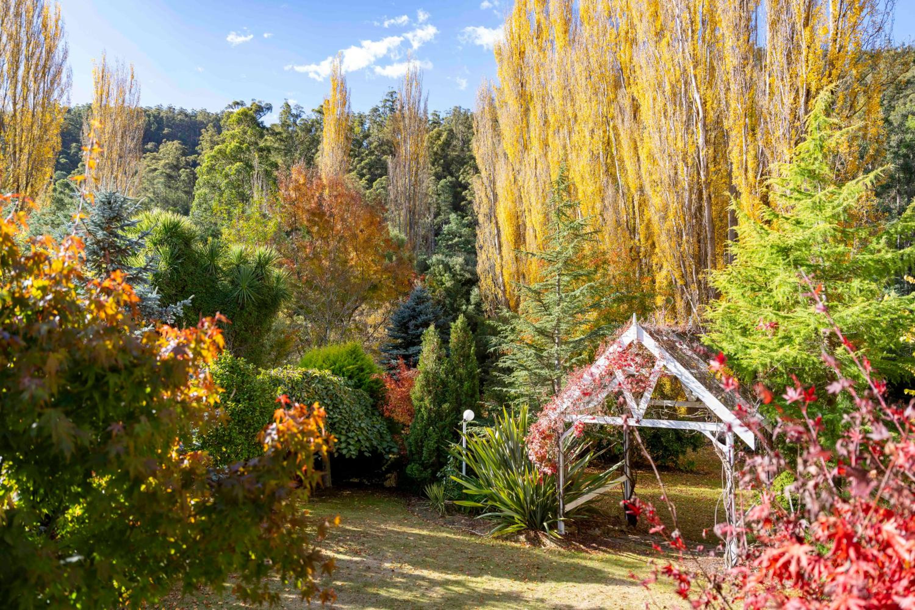 Magical Lucindale - Gorgeous 4 Bedroom House