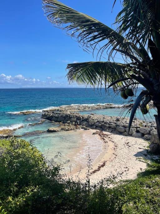 Villa Rose des Caraibes - 200m de la plage view 4