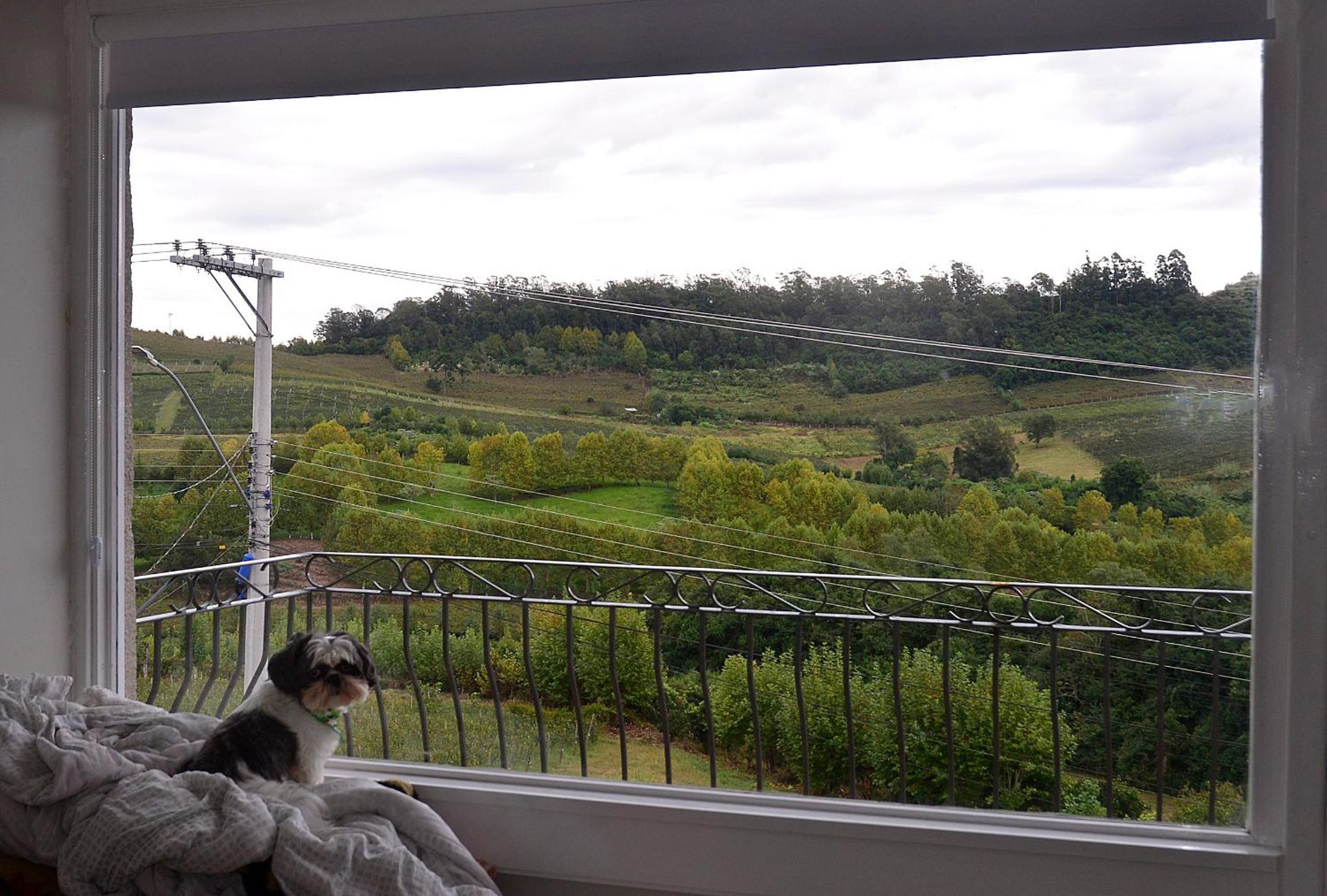 Casa do Vale